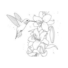 Hummingbird feeding on flower nectar © Mdekramul