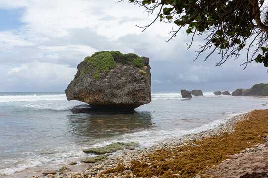 De ruige kustlijn met rotsen op het Caribische eiland Barbados, Bathsheba Beach  met de beroemde paddenstoel rots