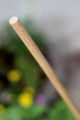 Scene with wooden stick in a garden