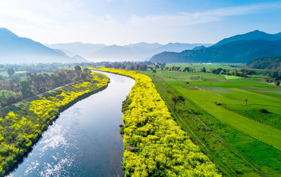 河原に咲く菜の花とのどかな田園風景の空撮