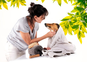 Shetland Sheepdog and woman in studio