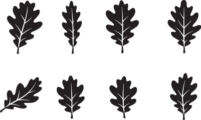 Fototapeta premium Oak Leaf Icon Set Black and White Botanical