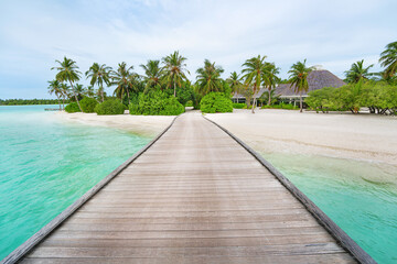  A wooden jetty in a Beautiful maldives tropical island - big poster with copy space.