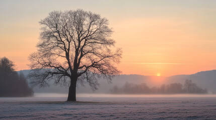 Misty Tree in Field at Golden Sunrise
