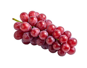 Fototapeta premium A plump bunch of red grapes, glistening and ripe