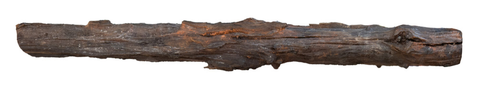 Driftwood, old branch isolated. Rustic wood branch. Weathered driftwood log isolated. Willow log isolate	