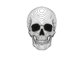 黒背景に描かれた頭蓋骨の抽象的な線画