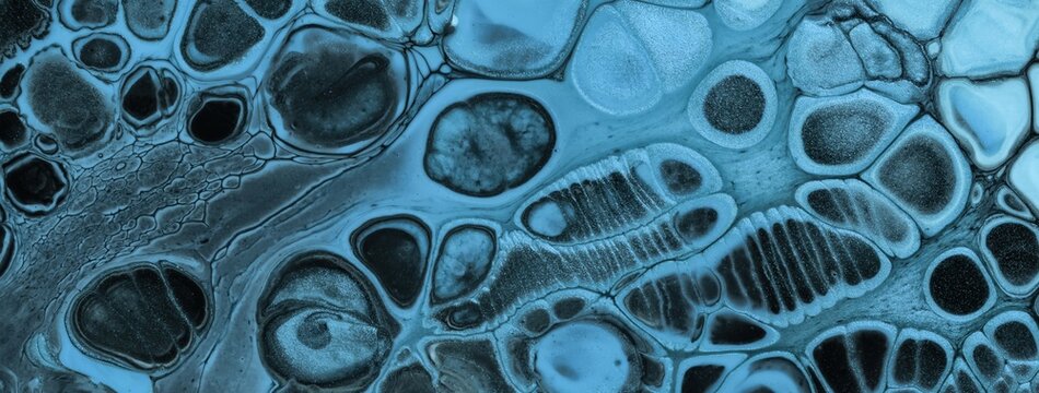 Abstract fluid art background in black blue tones with marble texture, cells pattern and acrylic pour painting