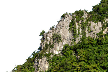A green tree grows on a limestone rock cliff overlooking a beautiful mountain landscape with summer clouds and forest views in the European nature