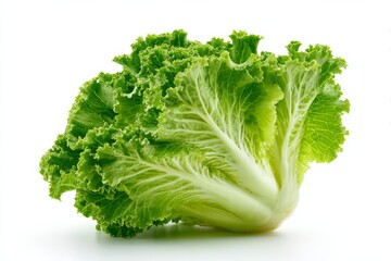 vegetable concept with a copy space