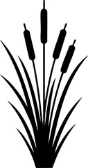Cattail water plants silhouette isolated on white background minimalist aquatic marsh and bulrush nature illustration