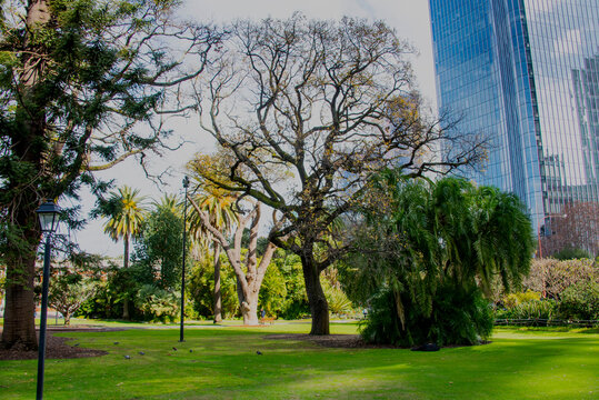 Stirling Gardens in Perth - Australia