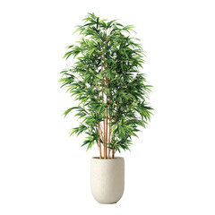Fototapeta premium Tall green plant in a simple pot placed indoors near a window during daylight hours