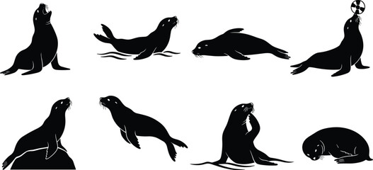 Sea lion silhouette illustration, marine animal clipart, ocean wildlife vector, playful sea lion poses, black animal icons, stock design