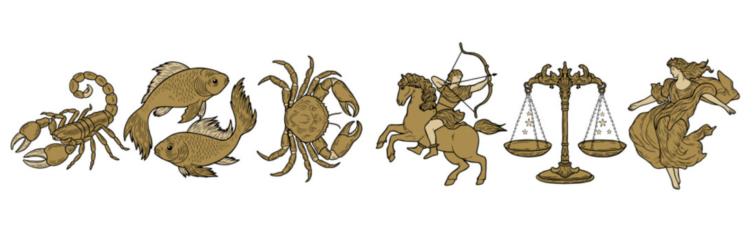 Vector illustration of zodiac signs in a synthage linear retro engraving style with baroque elements. Astrology and tarot