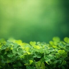 Lush Green Clover Field with Copy Space