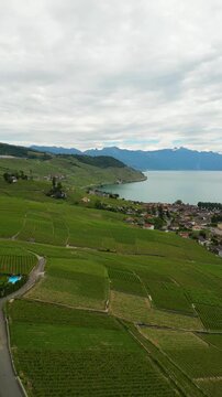 Lavaux Vineyards in Switzerland UNESCO World Heritage site Lake Geneva