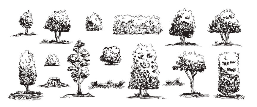 Sketch scribble forest trees, garden hedge, bushes. Hand-drawn line art oak, pine, stump silhouettes. Black and white nature illustrations of grass, foliage. Vector park tree doodle ink isolated.
