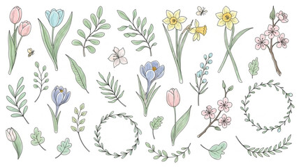 Hand Drawn Floral Elements and Wreaths Botanical Illustration.
