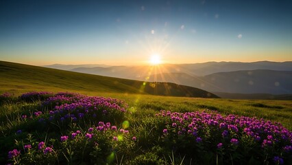 Obraz premium Serene mountain sunset with vibrant wildflowers in bloom
