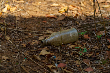 Obraz premium Bottle is laying on the ground in a field of dried leaves