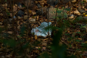 Pile of trash is on the ground in a forest