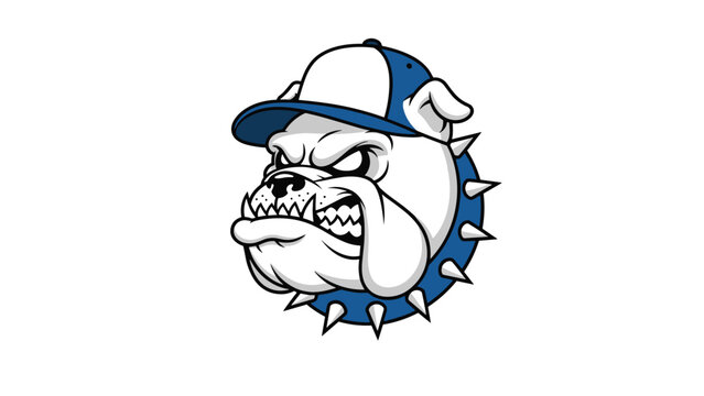 Tough bulldog head wearing a blue and white baseball cap and a spiked collar with an angry expression on white.