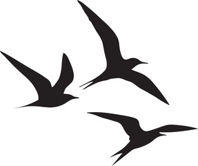 Obraz premium silhouette of a bird 