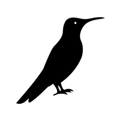 black silhouette of a bird with long beak and sharp claws standing