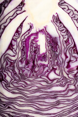 close up of red cabbage macro texture