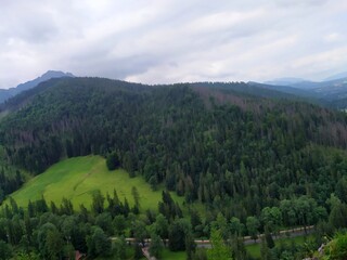 Obraz premium Green mountain hills covered with dense forest and open meadow, with road visible below, photographed in natural daylight during summer.