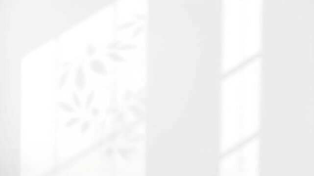 Abstract white wall with natural light and leaf shadow patterns