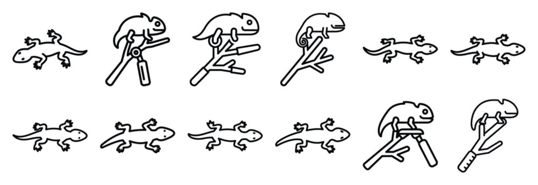 Collection of  lizard crawling  line art icons on white background. Set of animal linear symbols. Vector illustration.