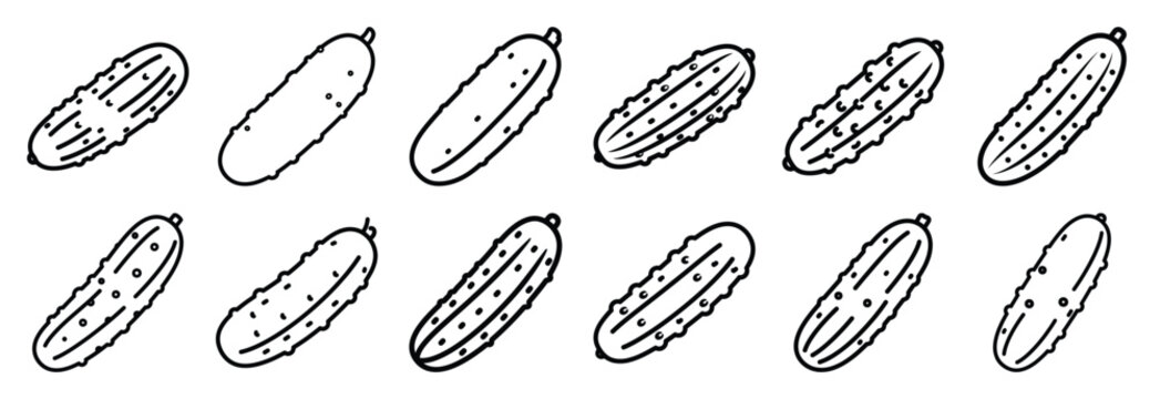 Collection of  sea cucumber soft  line art icons on white background. Set of animal linear symbols. Vector illustration.