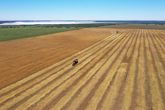 Harvester machine in the Argentine countryside, La Pampa Province.