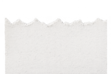 Torn white paper strip with rough, jagged edge, blank textured surface, transparent background for easy use