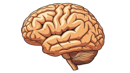An illustration of a human brain on a black background