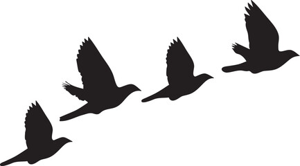 Obraz premium Flying Birds Silhouette