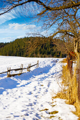 rustic wooden fence through snow covered hill. beautiful view on winter sunny morning in carpathian...