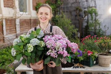 Fototapeta premium Smiling gardener holding hydrangea pots in backyard for plant care banner