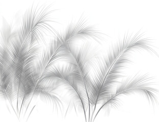 Obraz premium abstract shadov of palm leaves on a transparent background, 