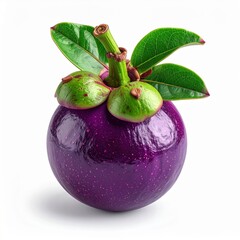 Vibrant Purple Mangosteen Fruit With Green Leaves Isolated On White Background Studio Shot