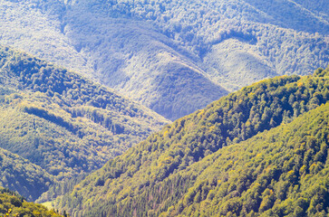 Stunning aerial views of lush green mountain ranges with rolling hills and dense forest canopy