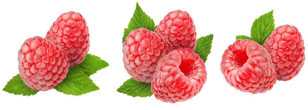 A collection of three raspberry variations on an isolated white background