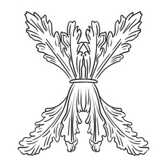 Scroll design element abstract vintage vector isolated illustration