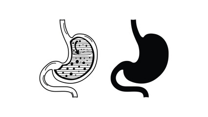 Fototapeta premium Anatomical illustrations of the human stomach in different visual styles and colors