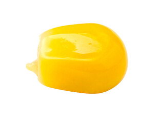 A single, plump, glossy kernel of bright yellow corn with a delicate tip
