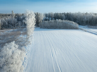 snow covered trees in winter © talavietis