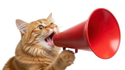 Orange cat yelling into a red megaphone.