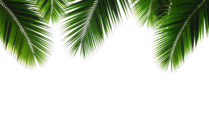 Naklejka premium Tropical Green Leaves with Textured Foliage Creating a Lush Decorative Background